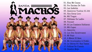 Banda Machos Puras Rancheras