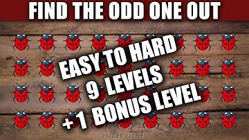 Find The Odd One Out Mini Beasts (3 x Easy Medium Hard)