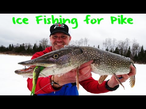 Ice Fishing for Pike 