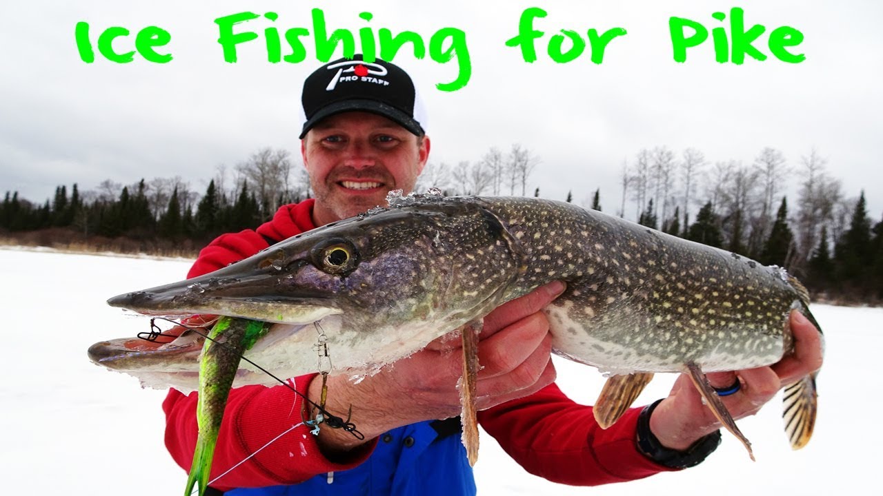 Ice Fishing for Pike 