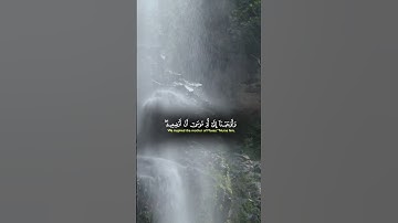آيات بينات من سورة مريم بصوت يريح القلب 🙏❤ #اكسبلور #القرآن_الكريم #المغرب #duet #المصحف