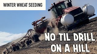 No Til Drill, seeding on hillside  HORSCH/CASE