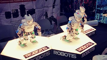 IAAPA Expo 2019- ROBOTIS MINI Dancing robots!