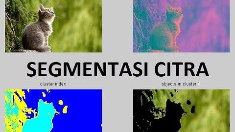 Segmentasi Citra | Deteksi Tepi - Transformasi Hough  - Pengenalan Pola