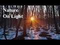 Early Spring Ambient - Melancholic - Soft Trees (Long Mix)