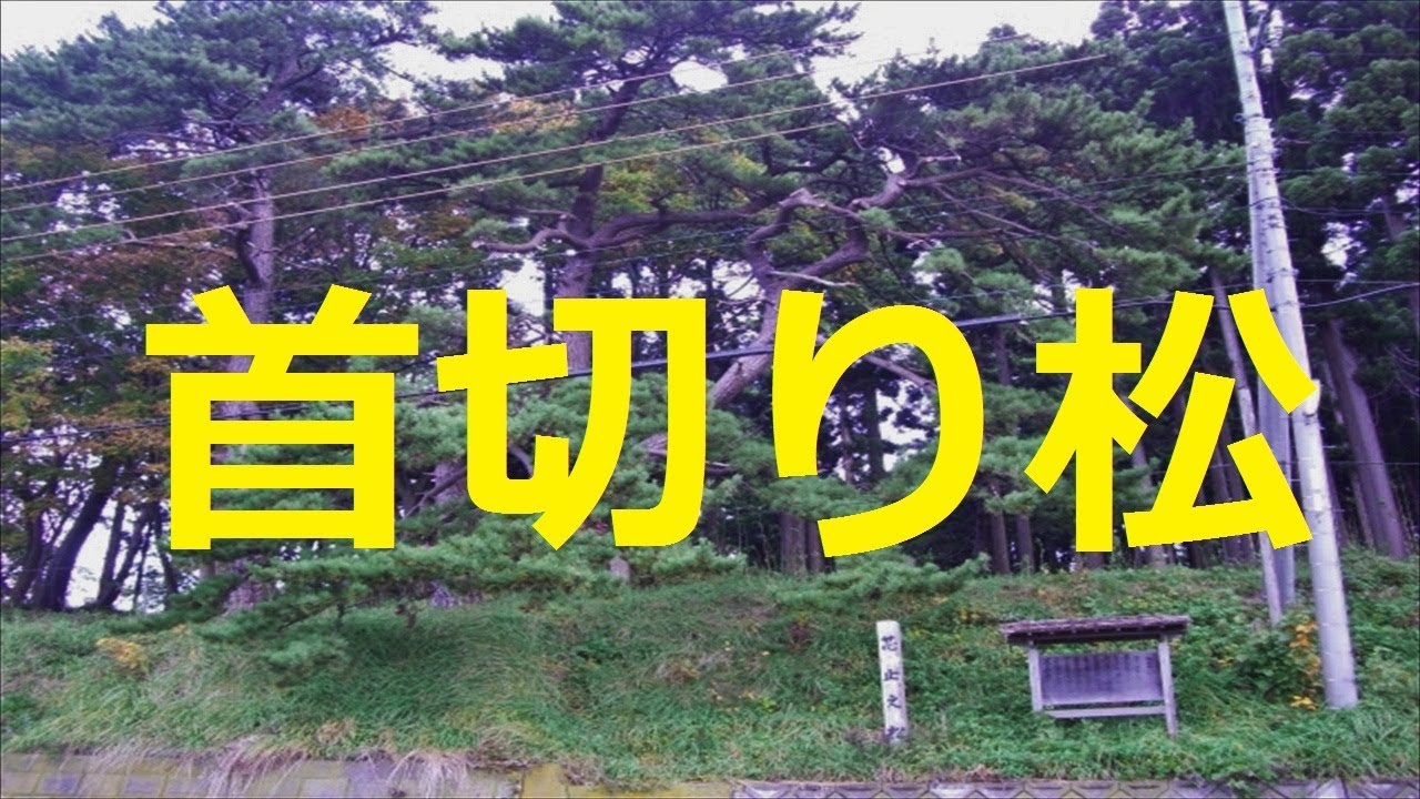 北海道観光 首切り松 芯止めの松 を見ました Youtube