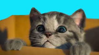 Аудіоказка  українською / Казка про котика, який всього боявся / Казка на ніч