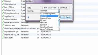 Dynamics Report Manager Product Demo by Rockton Software in Microsoft Dynamics GP screenshot 2