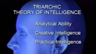 The Triarchic theory of intelligence