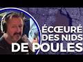 Les Nids De Poules Au Québec Un Citoyen Prends La Relève Et Les Remplis Lui Même 