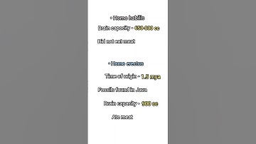 Origin and Evolution of Man | Class 12 Biology #neet #shorts #shortsvideo