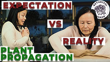 Plant Propagation: EXPECTATION vs REALITY