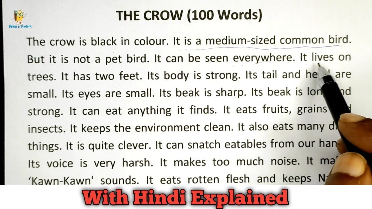 essay on crow in english for class 6