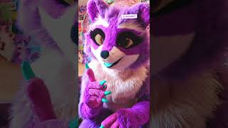 what animal is the opposite of a raccoon? #furry #fursuiter #raccoons #costume #raccoon