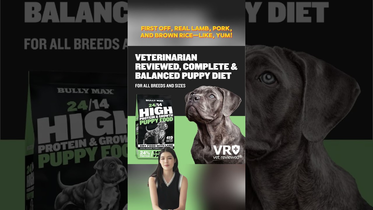 Bully Max 24/14 Puppy Food & Chewable Vitamin Bundle Review: High Protein for Growth & Development