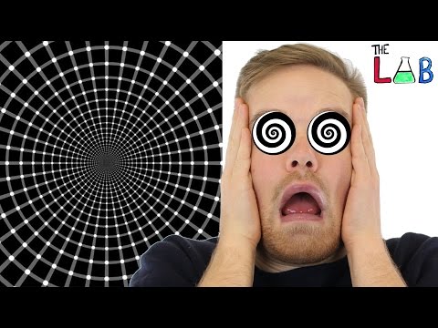 Your Brain On Illusions (The LAB)