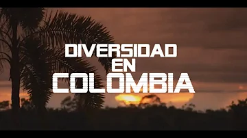 ¿Qué diversidades hay en Colombia?