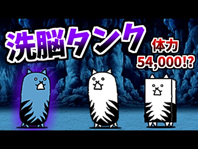 にゃんこ sddefault.jpg