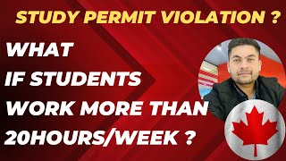 Canada Study Visa| What if students work more than 20 hours/week? study Visa violations| #canada