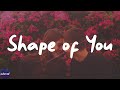 Ed Sheeran - Shape of You (Lyrics)