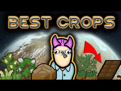 Top 10 Best Foods And How To Farm In Rimworld