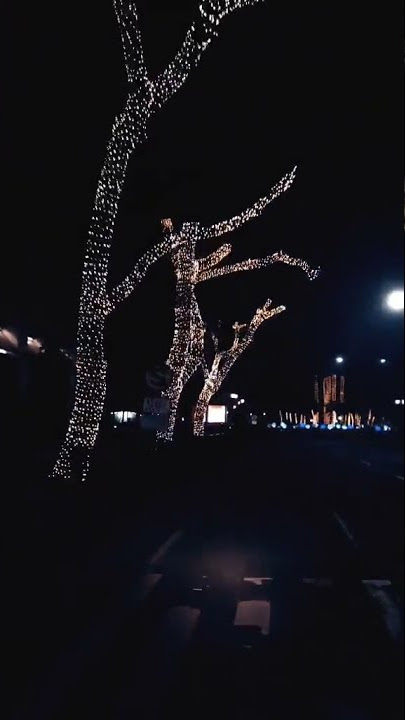 Story Wa Tangerang vibes