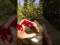 First Encounter | Sons Of The Forest!