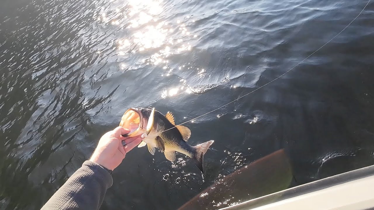 Bass fishing with jerkbait