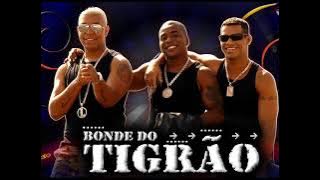 Bonde do Tigrão - Adoleta