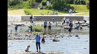 京都で真夏日