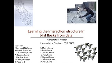 Learning the interaction structure in bird flocks from data