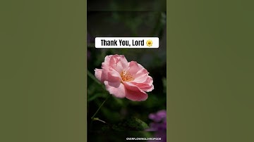 MORNING BLESSINGS | Say THIS Prayer #shorts #viralshorts #prayershorts #morningprayer