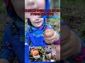 #грибы #грибалка #лес #гриб #грибы2025 #подберёзовик #подберезовики #красота #дети #тренды #ляпота