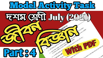 Life Science Model Activity Task Class 10 Part 4 । Class 10 Activity Task।WB Model Activity Task