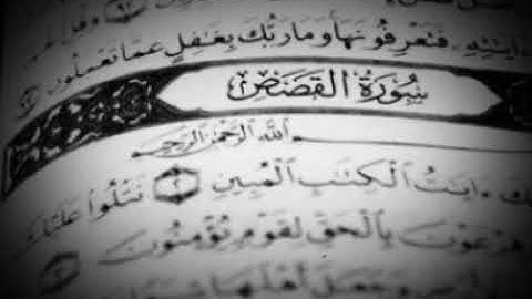 ماتيسر من سورة #القصص لفجر 14 رمضان 1440للقارئ تركي بن نايف الدوسري من مسجد عقبة بن نافع حي الخليج