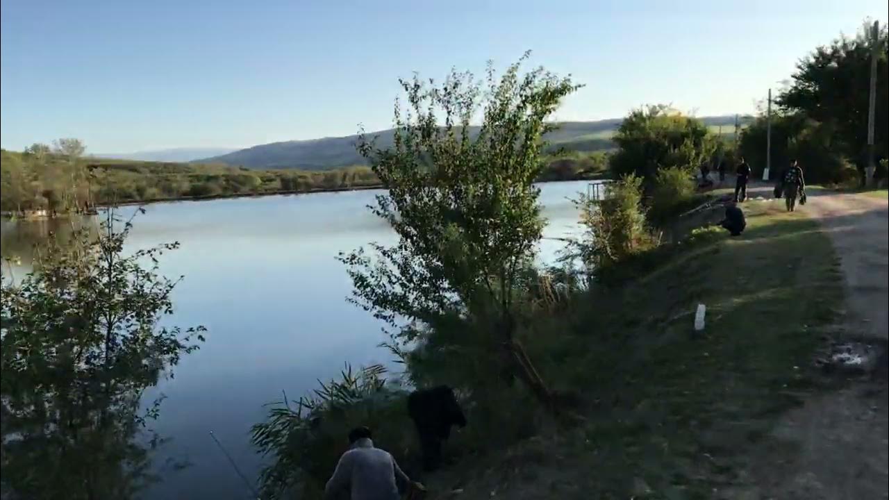 бачи юрт такси