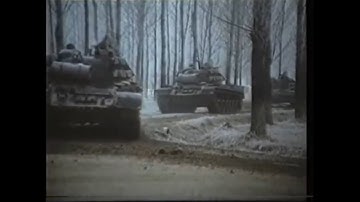 Am onoarea /Film-Documentar