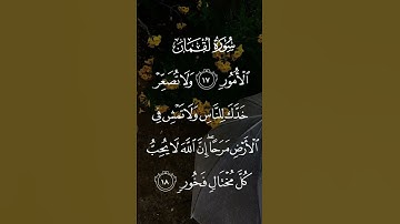 سورة لقمان يابني أقم الصلاة وأمر بالمعروف وأنه عن المنكر واصبر على ماأصابك الاية ١٧ إلى ١٩