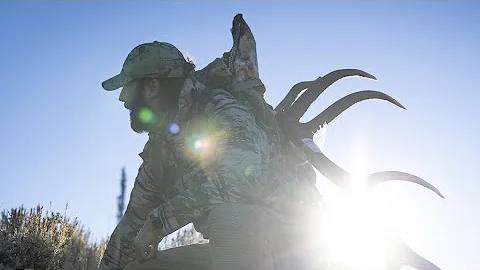 Living in the Rut, Utah Elk Hunt