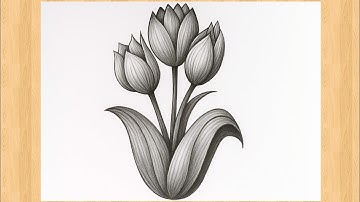 Easy Flower Pencil Shading Drawing | Simple Tulip Sketch for Beginners | Pencil Art Tutorial
