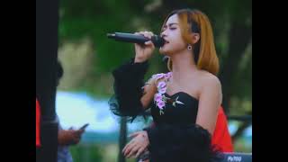 Download Lagu Story WA-Trauma-Tiara Amora-New Pallapa MP3