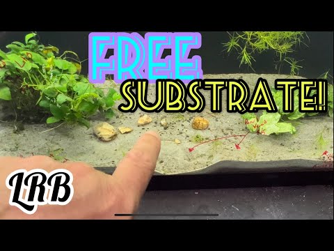 Video: Ano ang substrate sa reaksyong ito?