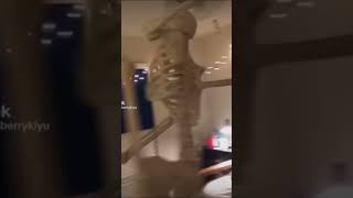 Spinning Skeleton Low Quality Meme