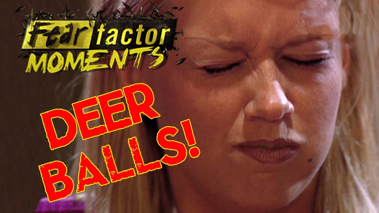 joe rogan comedy store Fear Factor Moments | Deer Balls and Eggnog