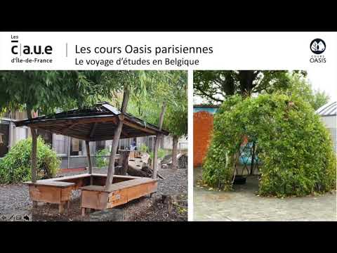 Webinaire - Découvrez les 