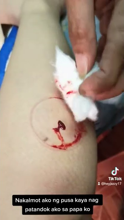 Tandok