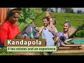 Kandapola | 4 tea estates and an experience | Sri Lanka