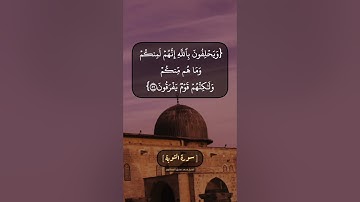 سورة التوبة الآية ٥٥ الى ٥٧ بصوت الشيخ محمد صديق المنشاوي