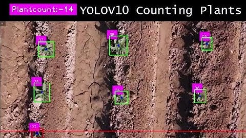 drone counting plants | yolov10 custom object detection, tracking & counting | computer vision
