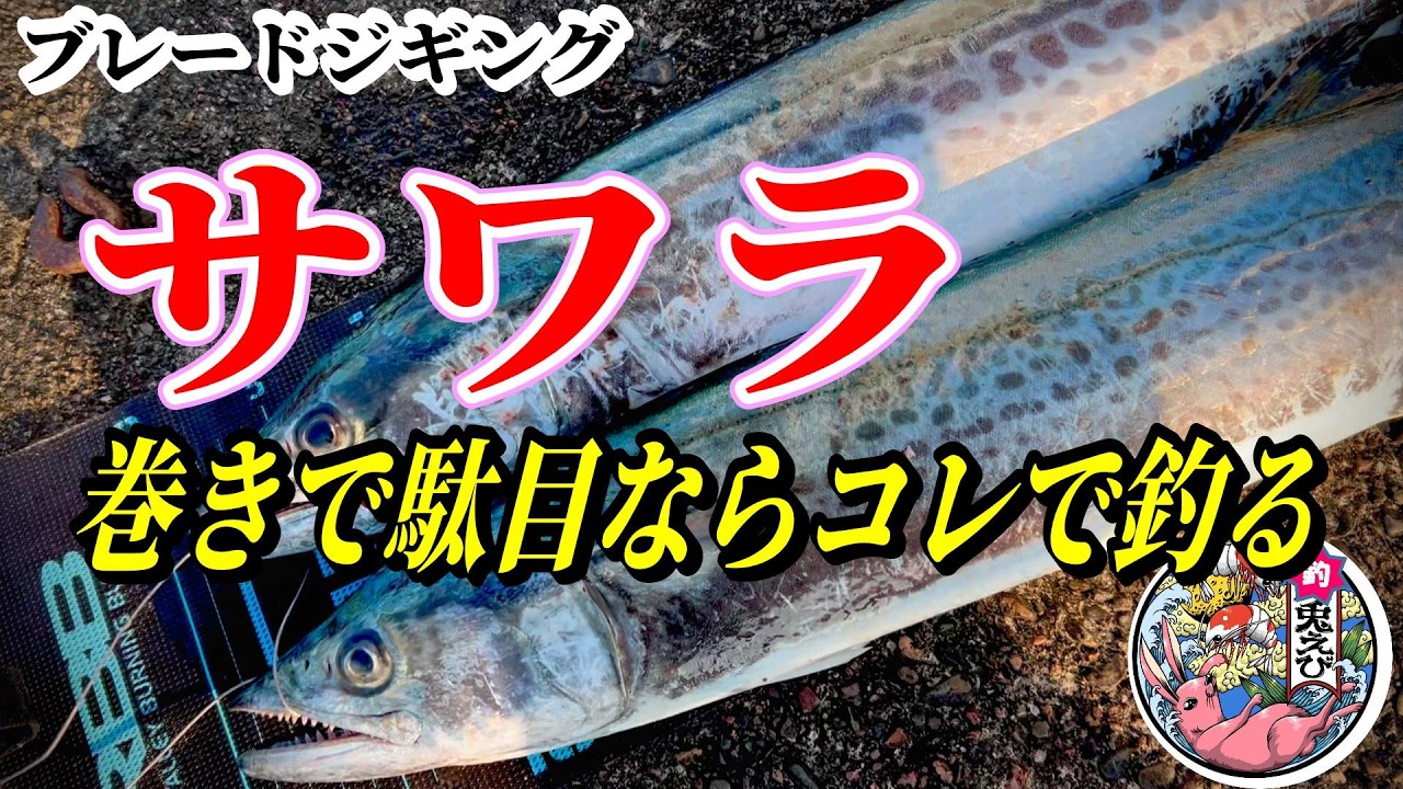 ブレードジギング【絶対】やるべき爆釣テクニック！！　『ショアジギング』